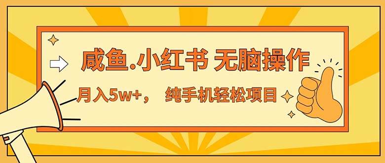 （11524期）2024最赚钱的项目，咸鱼，小红书无脑操作，每单利润500+，轻松月入5万+…-云商网创