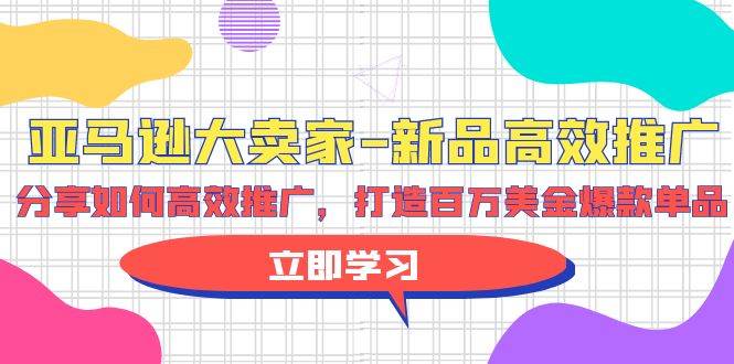 （9945期）亚马逊 大卖家-新品高效推广，分享如何高效推广，打造百万美金爆款单品-云商网创