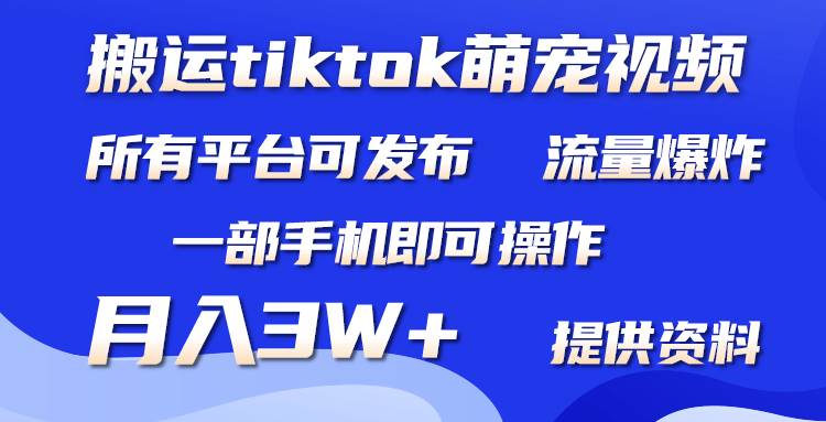 （9618期）搬运Tiktok萌宠类视频，一部手机即可。所有短视频平台均可操作，月入3W+-云商网创