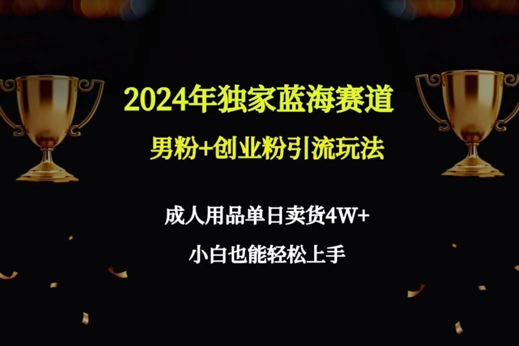 2024年独家蓝海赛道男粉+创业粉引流玩法，成人用品单日卖货4W+保姆教程-云商网创