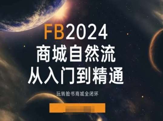 2024Faceboo商城自然流(从入门到精通)，玩转脸书商城全闭环-云商网创