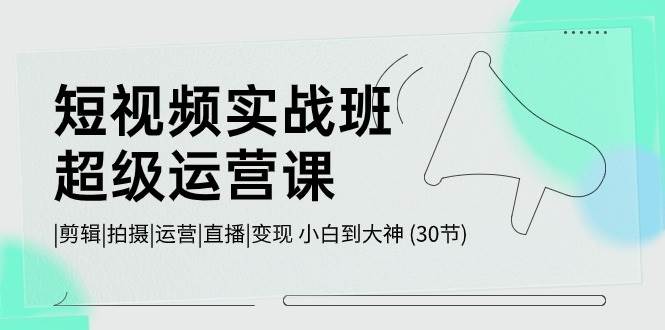 短视频实战班-超级运营课，|剪辑|拍摄|运营|直播|变现 小白到大神 (30节)-云商网创