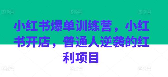 小红书爆单训练营，小红书开店，普通人逆袭的红利项目-云商网创