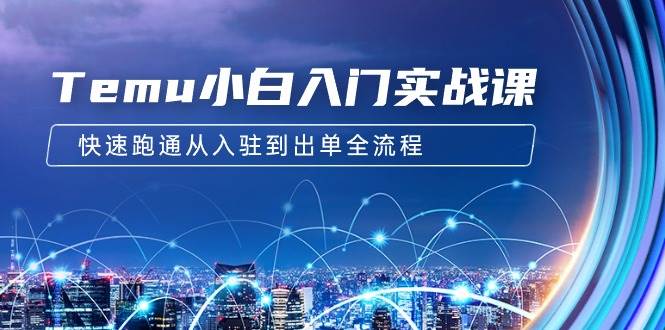 Temu小白入门实战课：跨境拼多多电商培训 快速跑通从入驻到出单全流程-12节-云商网创