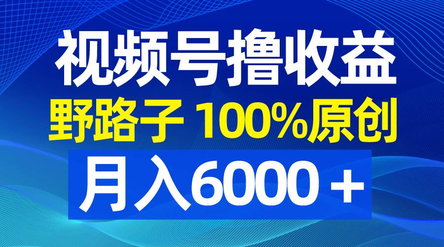 （8679期）视频号野路子撸收益，100%原创，条条爆款，月入6000＋-云商网创