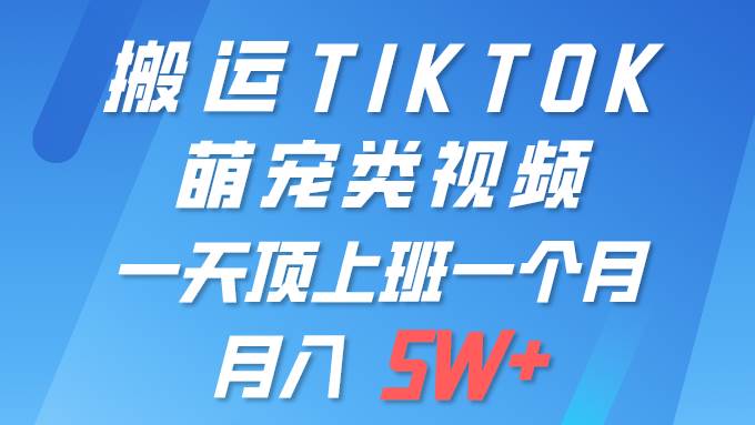 一键搬运TIKTOK萌宠类视频 一部手机即可操作 所有平台均可发布 轻松月入5W+-云商网创