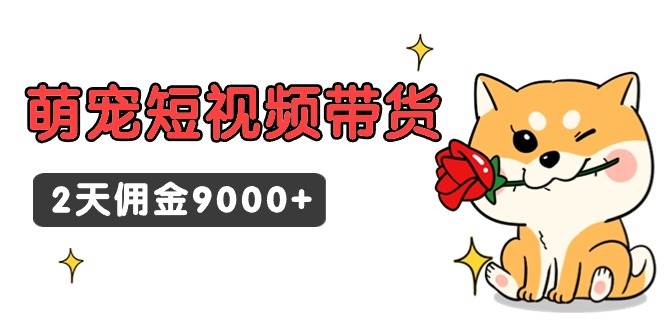 东哲日记·萌宠短视频带货，2天佣金9000+-云商网创