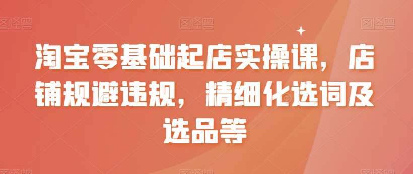 淘宝零基础起店实操课，店铺规避违规，精细化选词及选品等-云商网创