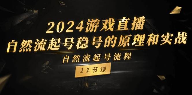 （11653期）2024游戏直播-自然流起号稳号的原理和实战，自然流起号流程（11节）-云商网创