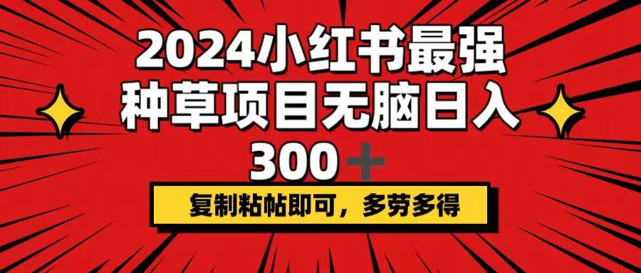 2024小红书最强种草项目，无脑日入300+，复制粘帖即可，多劳多得-云商网创