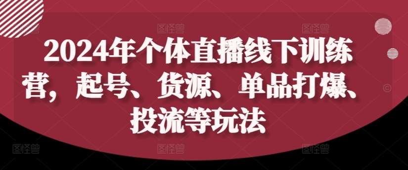 2024年个体直播训练营，起号、货源、单品打爆、投流等玩法-云商网创