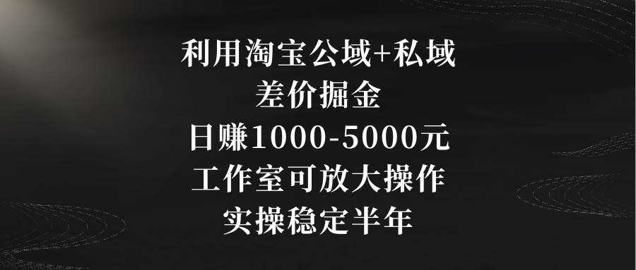 （8952期）利用淘宝公域+私域差价掘金，日赚1000-5000元，工作室可放大操作，实操…-云商网创