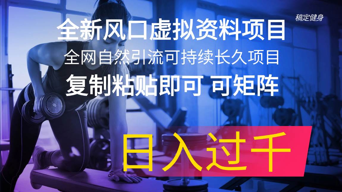 （11587期）全新风口虚拟资料项目 全网自然引流可持续长久项目 复制粘贴即可可矩阵…-云商网创