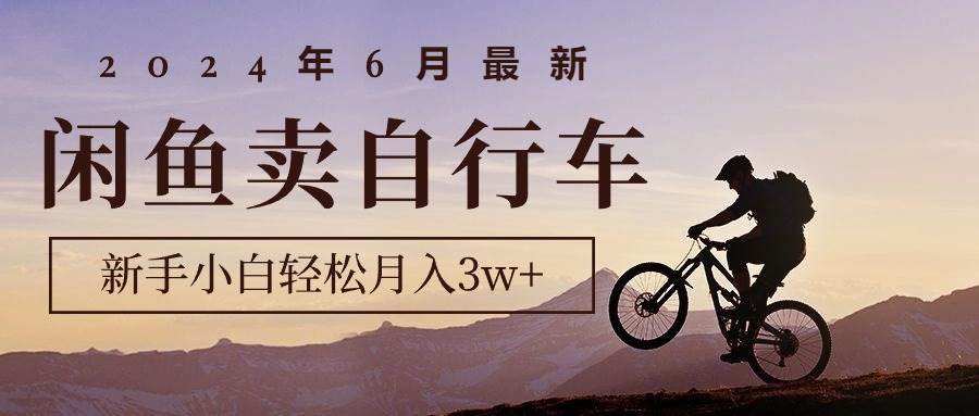 （10915期）2024年6月最新闲鱼卖自行车，新手小白轻松月入3w+项目-云商网创