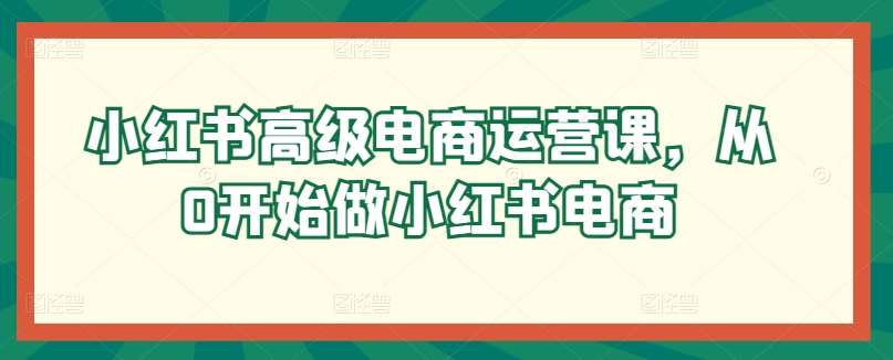 小红书高级电商运营课，从0开始做小红书电商-云商网创