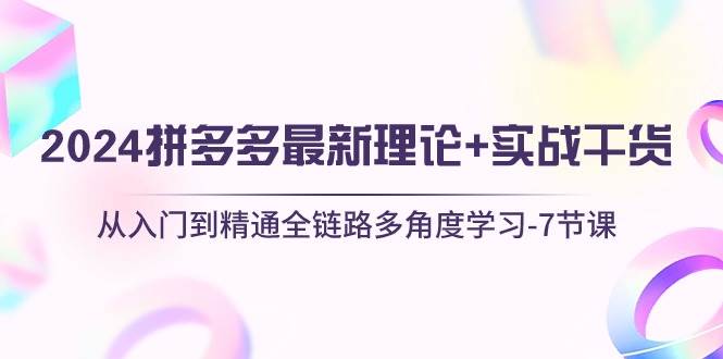 （10816期）2024拼多多 最新理论+实战干货，从入门到精通全链路多角度学习-7节课-云商网创