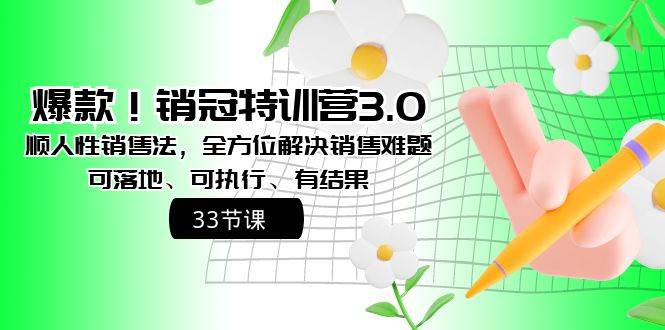 （8573期）爆款！销冠特训营3.0之顺人性销售法，全方位解决销售难题、可落地、可执…-云商网创