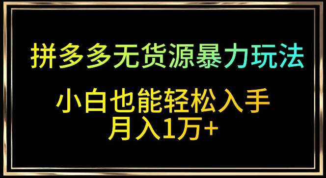 拼多多无货源暴力玩法，全程干货，小白也能轻松入手，月入1万+【揭秘】-云商网创