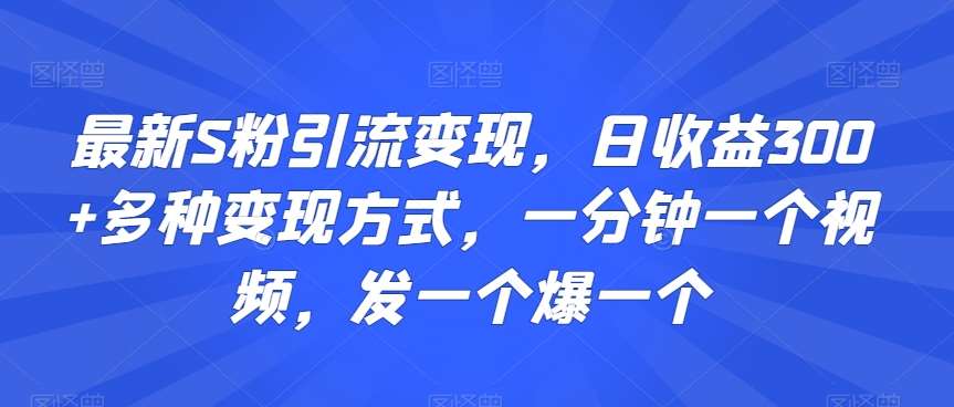 最新S粉引流变现，日收益300+多种变现方式，一分钟一个视频，发一个爆一个【揭秘】-云商网创