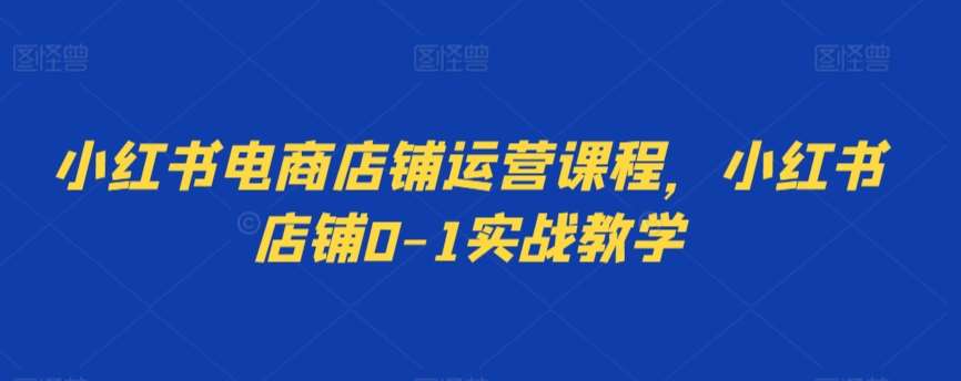 小红书电商店铺运营课程，小红书店铺0-1实战教学-云商网创