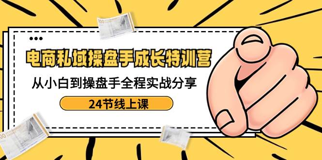 电商私域-操盘手成长特训营：从小白到操盘手全程实战分享-24节线上课-云商网创