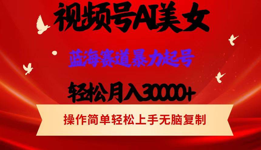 （12178期）视频号AI美女跳舞，轻松月入30000+，蓝海赛道，流量池巨大，起号猛，当…-云商网创