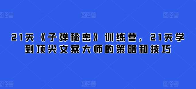 21天《子弹秘密》训练营，21天学到顶尖文案大师的策略和技巧-云商网创