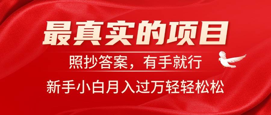 （11362期）最真实的项目，照抄答案，有手就行，新手小白月入过万轻轻松松-云商网创