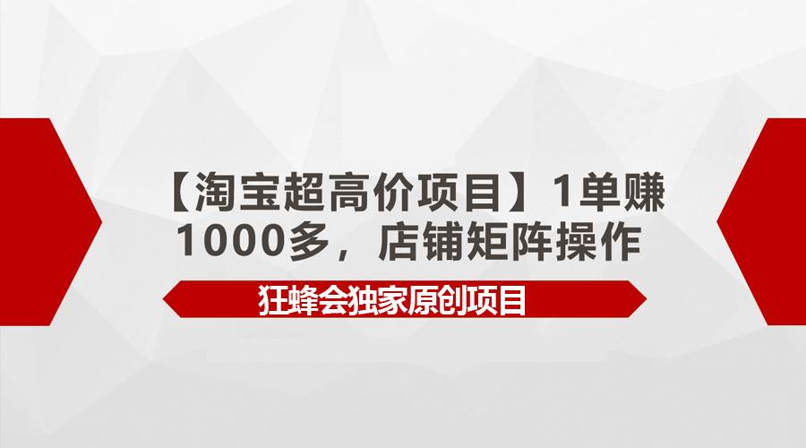 【淘宝超高价项目】1单赚1000多，店铺矩阵操作-云商网创