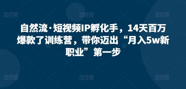 自然流·短视频IP孵化手，14天百万爆款了训练营，带你迈出“月入5w新职业”第一步-云商网创