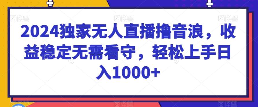 2024独家无人直播撸音浪，收益稳定无需看守，轻松上手日入1000+【揭秘】-云商网创