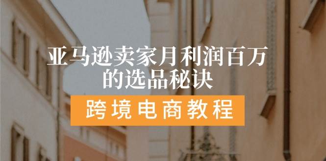 （11456期）亚马逊卖家月利润百万的选品秘诀:  抓重点/高利润/大方向/大类目/选品…-云商网创