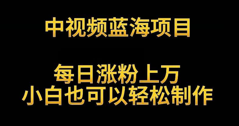 中视频蓝海项目，解读英雄人物生平，每日涨粉上万，小白也可以轻松制作，月入过万不是梦【揭秘】-云商网创