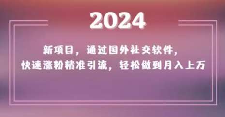 2024新项目，通过国外社交软件，快速涨粉精准引流，轻松做到月入上万【揭秘】-云商网创