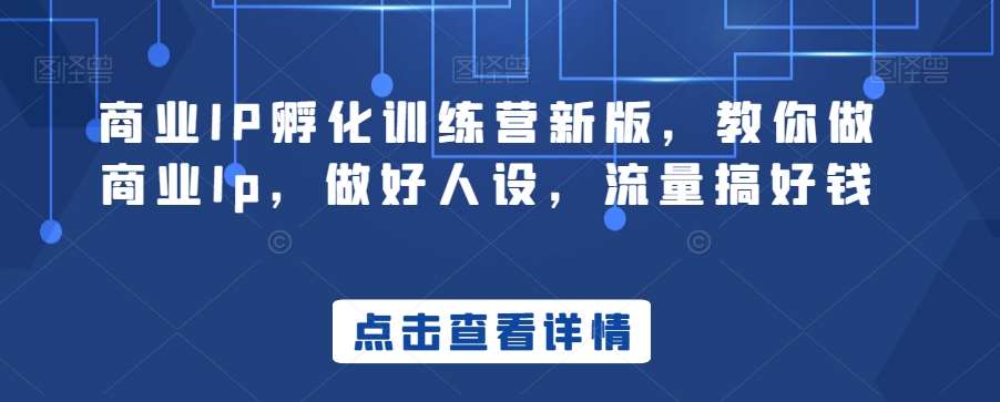 商业IP孵化训练营新版，教你做商业Ip，做好人设，流量搞好钱-云商网创