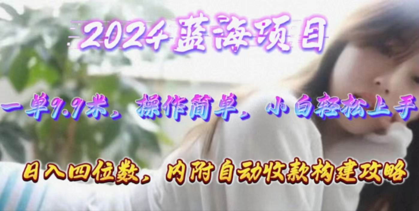 （10204期）年轻群体的蓝海市场，1单9.9元，操作简单，小白轻松上手，日入四位数-云商网创