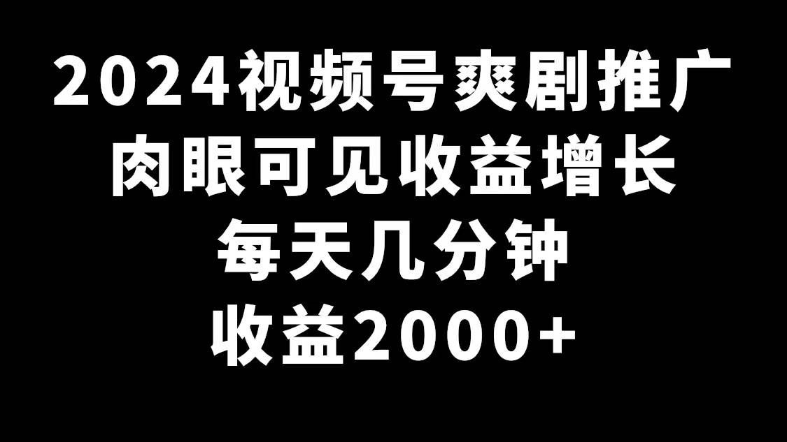 （9028期）2024视频号爽剧推广，肉眼可见的收益增长，每天几分钟收益2000+-云商网创