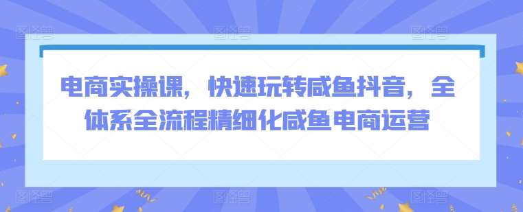 电商实操课，快速玩转咸鱼抖音，全体系全流程精细化咸鱼电商运营-云商网创