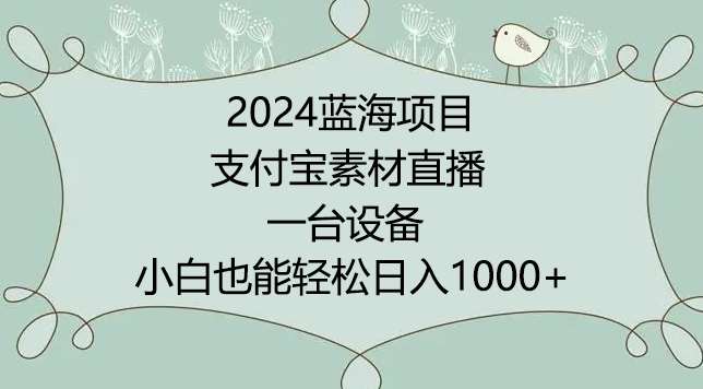 2024年蓝海项目，支付宝素材直播，无需出境，小白也能日入1000+ ，实操教程【揭秘】-云商网创