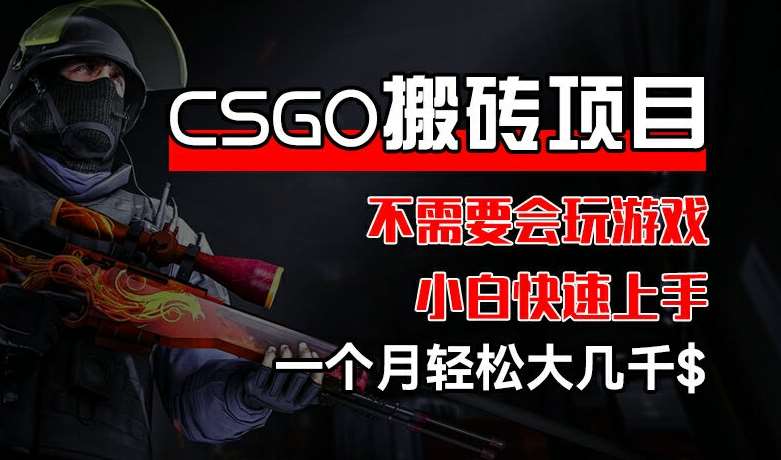 CSGO 装备搬砖项目，操作简单，不需要会玩游戏，小白也能快速上手，一个月轻松大几千【揭秘】-云商网创