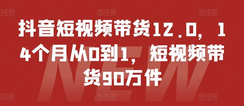 抖音短视频带货12.0，14个月从0到1，短视频带货90万件-云商网创