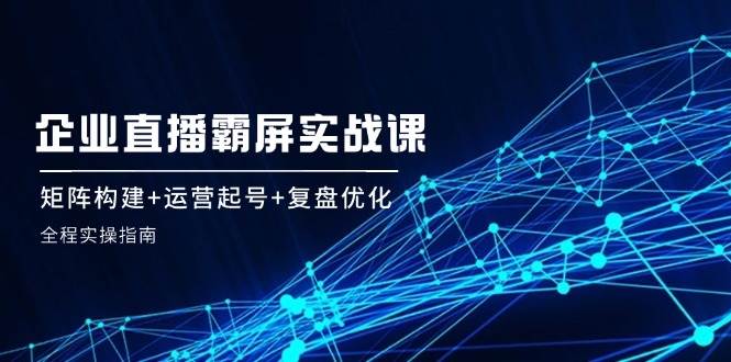 企业直播霸屏实战课：矩阵构建+运营起号+复盘优化，全程实操指南-云商网创