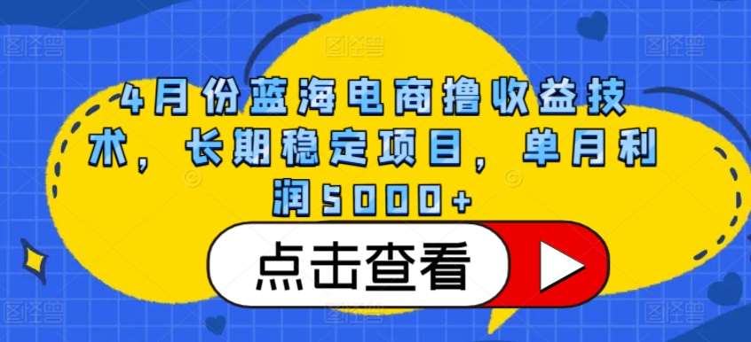 4月份蓝海电商撸收益技术，长期稳定项目，单月利润5000+【揭秘】-云商网创
