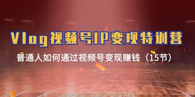 （11654期）Vlog 视频号IP变现特训营，普通人如何通过视频号变现赚钱（15节）-云商网创