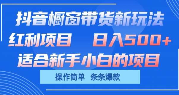 抖音橱窗带货新玩法，单日收益几张，操作简单，条条爆款【揭秘】-云商网创