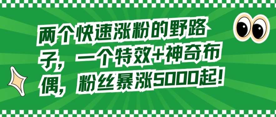 两个快速涨粉的野路子，一个特效+神奇布偶，粉丝暴涨5000起【揭秘】-云商网创