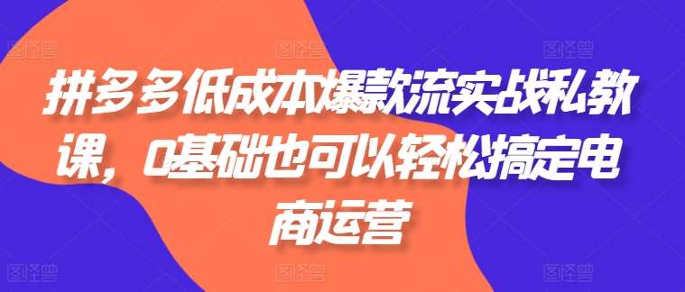 拼多多低成本爆款流实战私教课，0基础也可以轻松搞定电商运营-云商网创