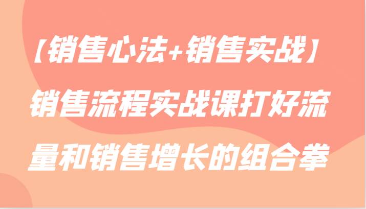 【销售心法+销售实战】销售流程实战课打好流量和销售增长的组合拳-云商网创