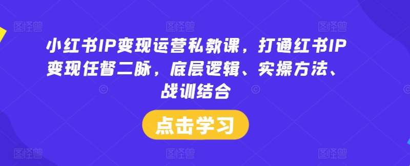 小红书IP变现运营私教课，打通红书IP变现任督二脉，底层逻辑、实操方法、战训结合-云商网创