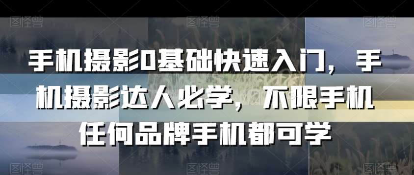 手机摄影0基础快速入门，手机摄影达人必学，不限手机任何品牌手机都可学-云商网创